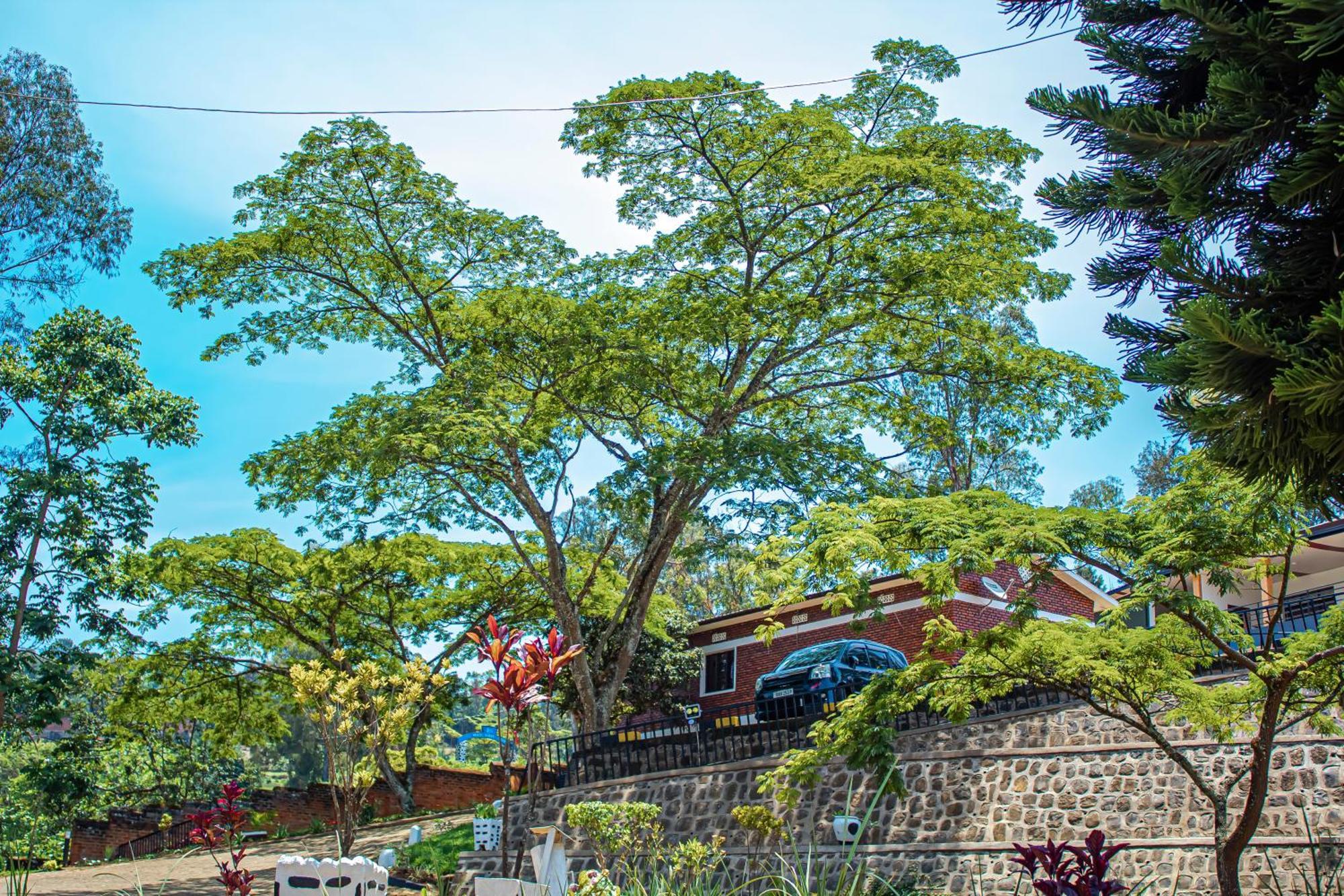 Peace Guest House Muhari エクステリア 写真